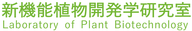 Sample Gallery Site