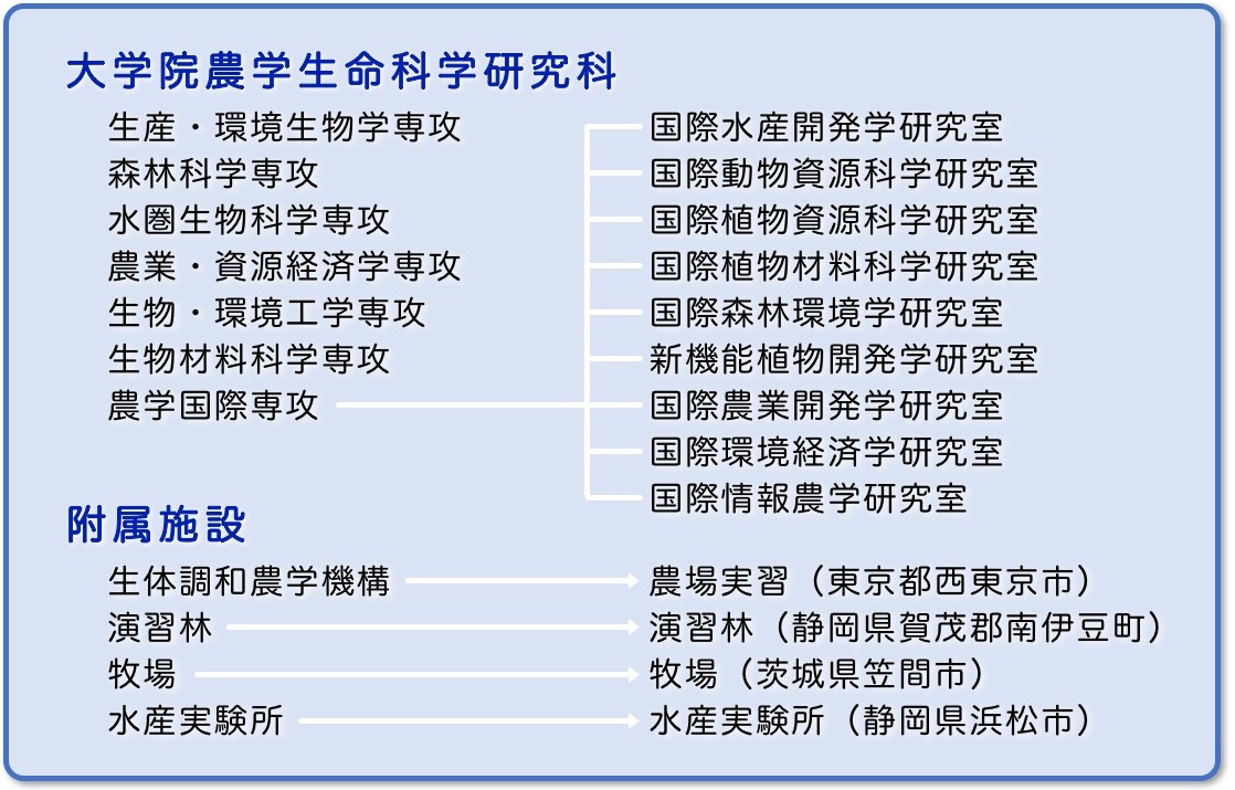 東京大学 大学院 修士課程 過去問の通販 by あらうんど's shop