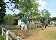 牧場実習（乗馬）