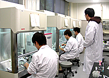 国際農学実験・実習（学生実験室にて）